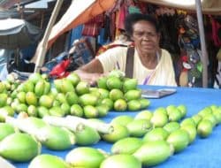 The marketing strategy of Papuan woman traders to survive amid the pandemic