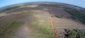 Deforestation and investment permit overlapping in Papua Province