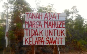 Papua Legislator Accuses Government as Pro-Capitalist over Palm Oil Bill