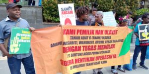 In response to palm oil moratorium, five tribes in Papua visit government agencies in Jakarta