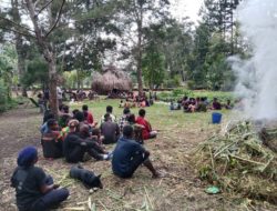 Govt prepares strategy to end armed conflict in Papua