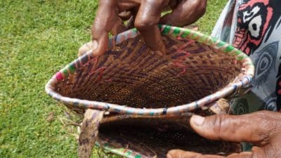 Traditional medicine and craft materials in Warbon indigenous forest threatened by LAPAN spaceport