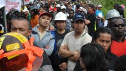Jokowi urged to fulfill and protect rights of laid-off workers at Freeport