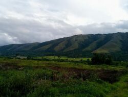 Stories on Papua Trans Road and how residents of Kebar reject plantation