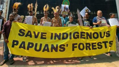 Awyu environmental activists file for intervention to protect land and forests