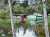 Severe flooding hits Jayawijaya Regency’s Maima, causing crop failures and urgent food shortages