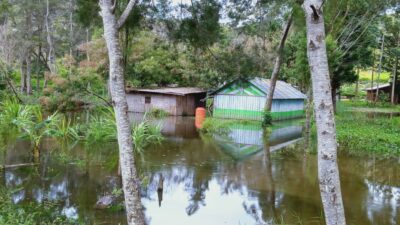 Severe flooding hits Jayawijaya Regency’s Maima, causing crop failures and urgent food shortages