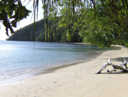 Papua’s People Council urges improved Infrastructure for potential coastal tourism