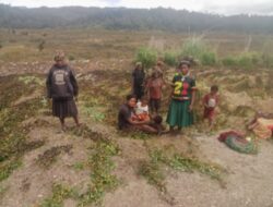 Puncak regency urged