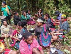Korowai residents reportedly displaced