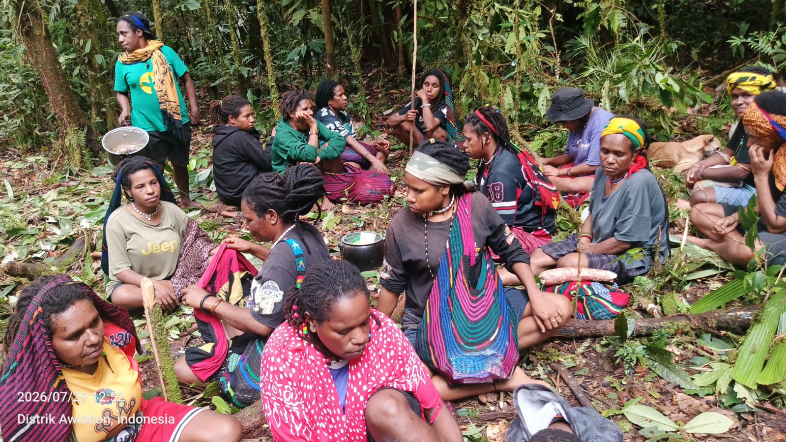 Korowai residents reportedly displaced
