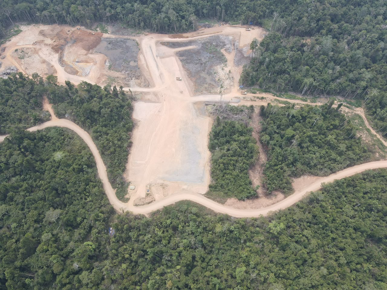 West Papua palm oil companies accused of dumping waste and clearing endemic forest