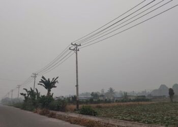 Smoke Haze Blankets Timika as Children Report Health Problems