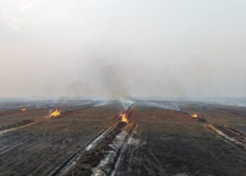 Amnesty urges Indonesia to stop suppressing forest fire protest and declare national disaster