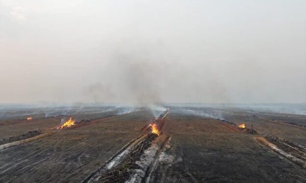 Amnesty urges Indonesia to stop suppressing forest fire protest and declare national disaster