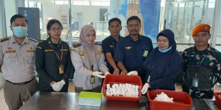 Authorities stop smuggling of 115 parrot eggs from Merauke